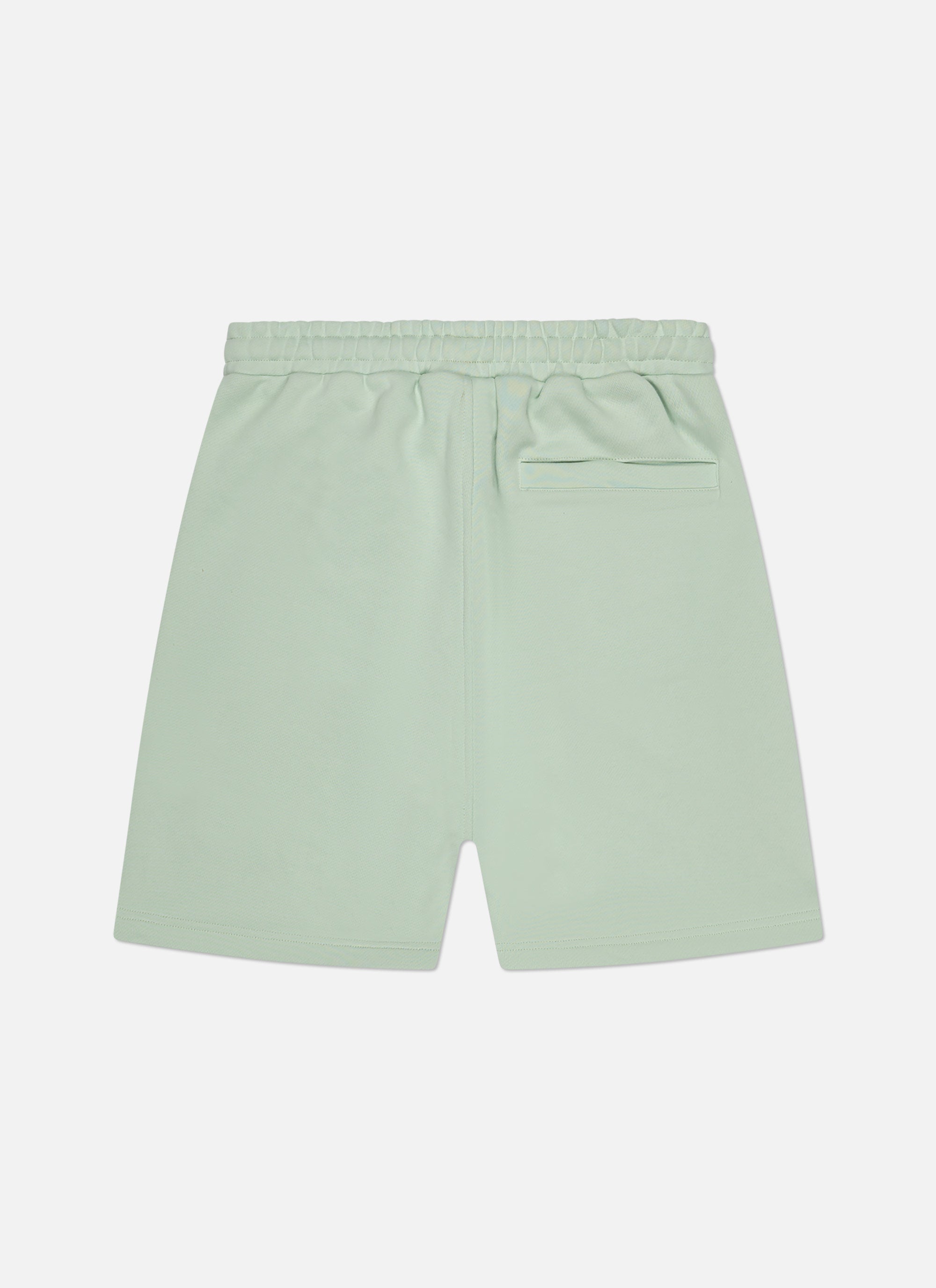 Landscape Shorts | Lime