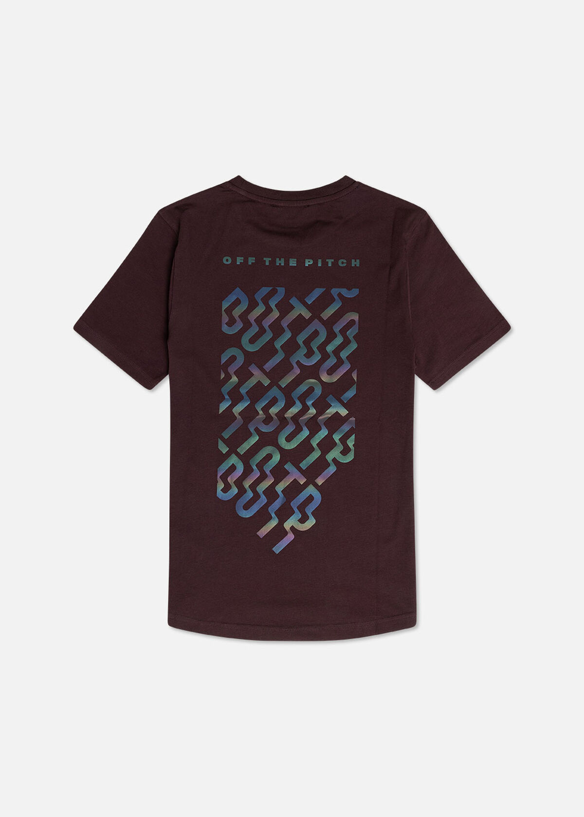 Gradient Backburn Slim Fit Tee, Dark brown, hi-res